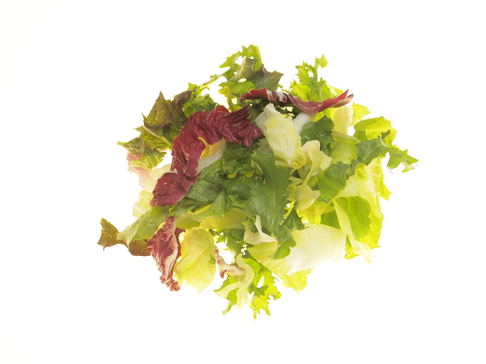 Fresh-Cut-Seite KW25-26 Salatmischung Rio